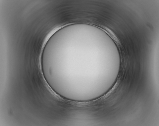 X0000115641196200911101049