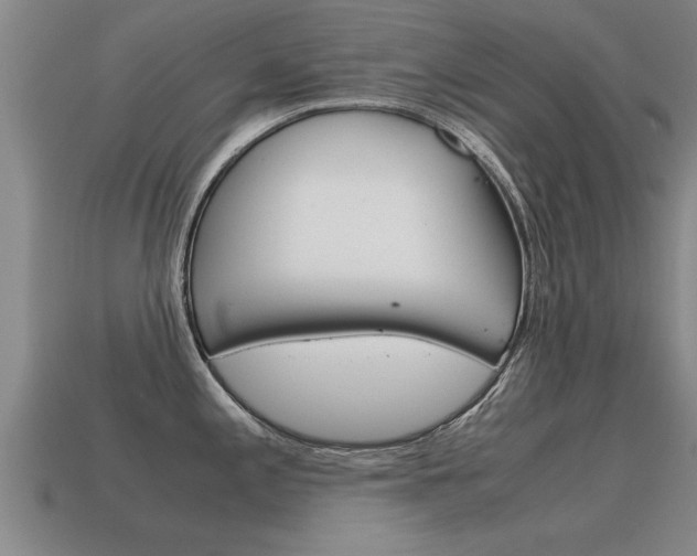 X0000115641197200911101049