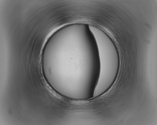 X0000115641200200911101049