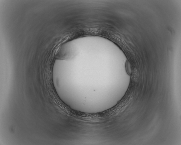 X0000115641201200911101049