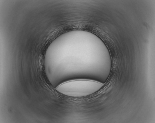 X0000115641202200911101049