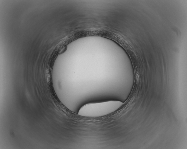 X0000115641204200911101049
