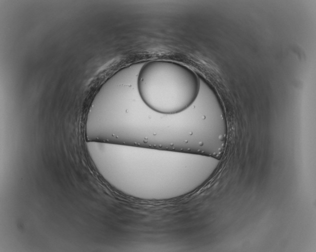 X0000115641205200911101049