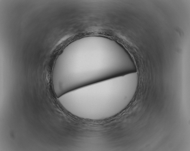 X0000115641206200911101049
