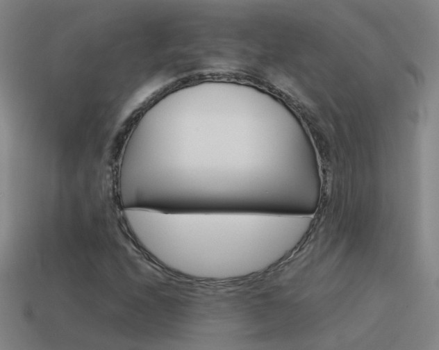 X0000115641208200911101049