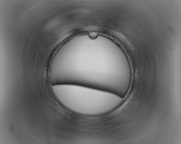 X0000115641209200911101049