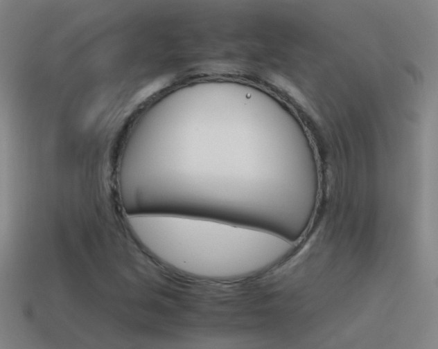 X0000115641213200911101049