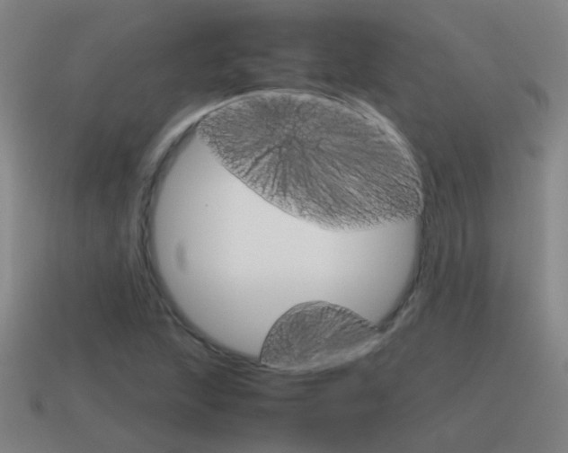 X0000115641215200911101049
