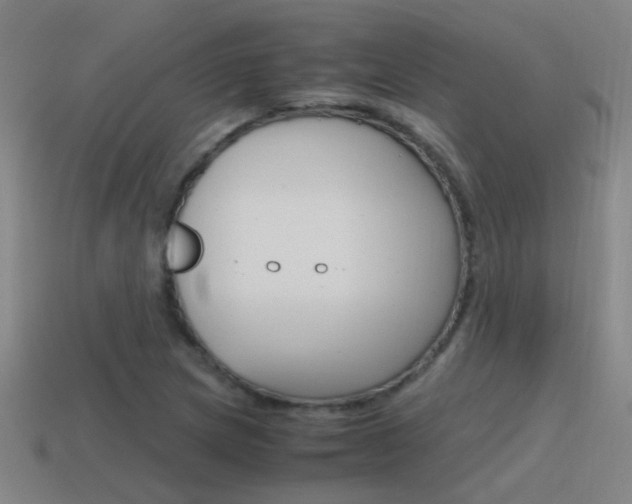 X0000115641217200911101049