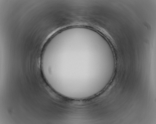 X0000115641220200911101049