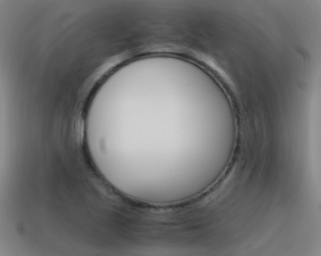 X0000115641221200911101049