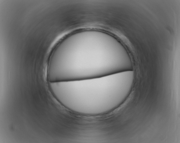 X0000115641224200911101049