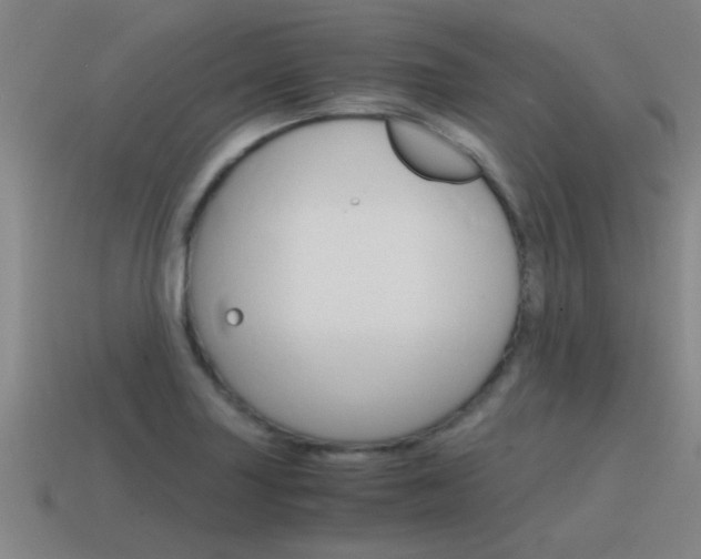 X0000115641227200911101049