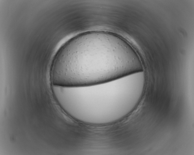 X0000115641230200911101049
