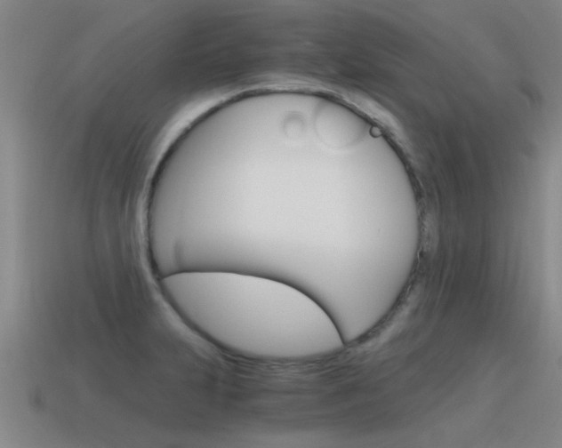 X0000115641231200911101049