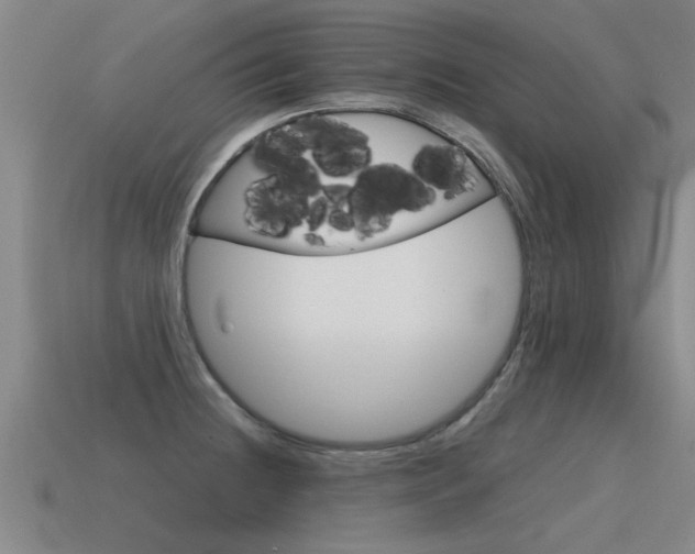 X0000115641236200911101049