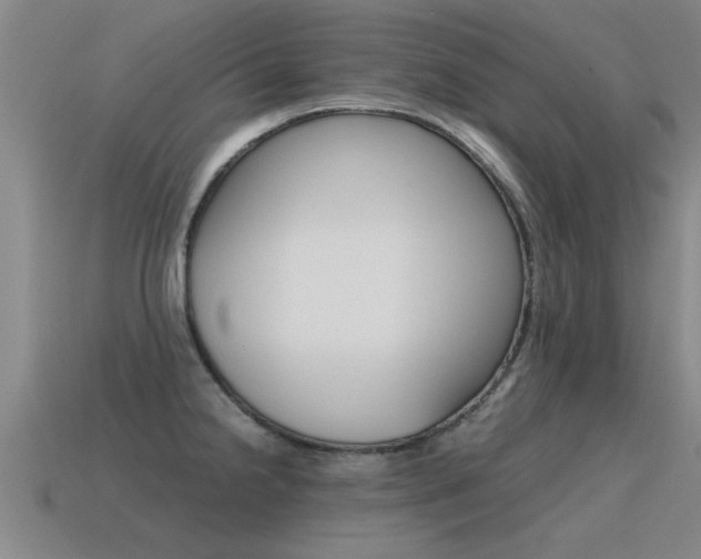 X0000115641238200911101049