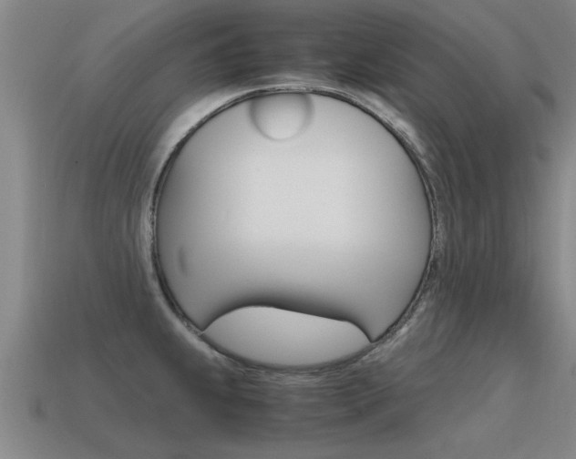 X0000115641239200911101049