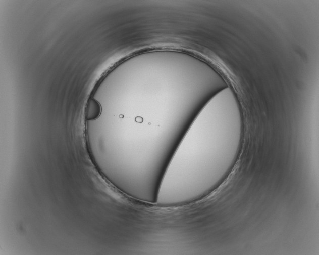 X0000115641240200911101049