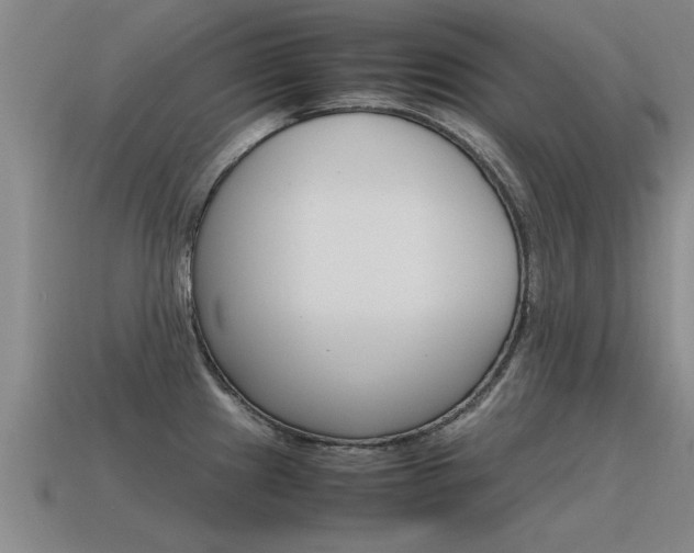 X0000115641241200911101049