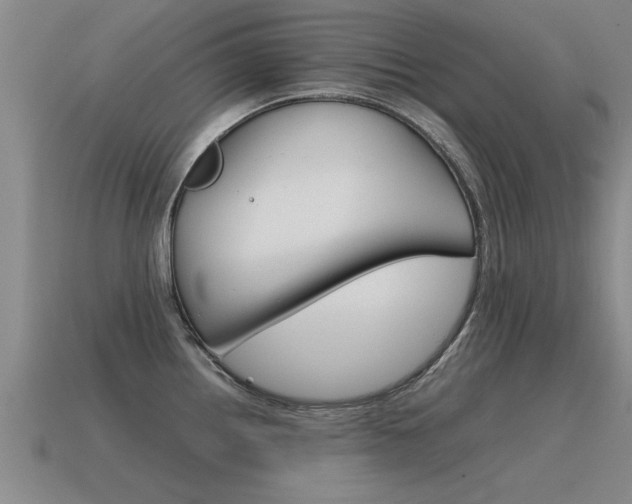 X0000115641242200911101049