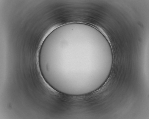 X0000115641243200911101049