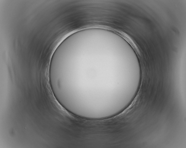 X0000115641244200911101049