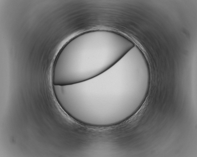 X0000115641246200911101049