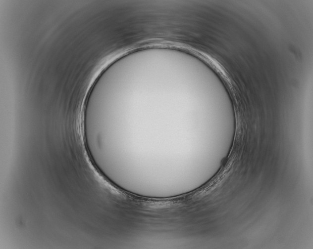 X0000115641247200911101049