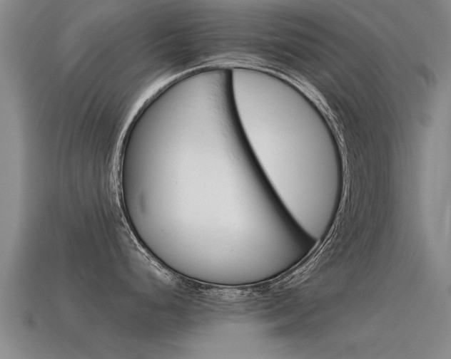 X0000115641248200911101049