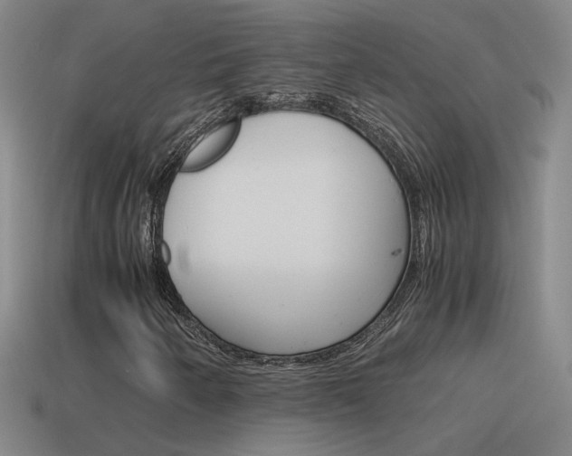 X0000115641250200911101049