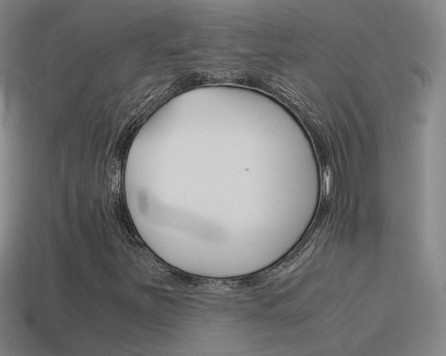 X0000115641251200911101049