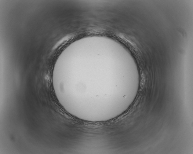X0000115641254200911101049