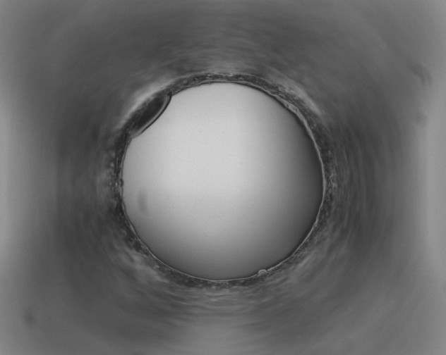 X0000115641256200911101049