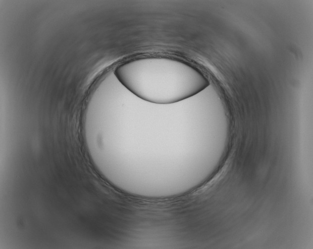 X0000115641259200911101049