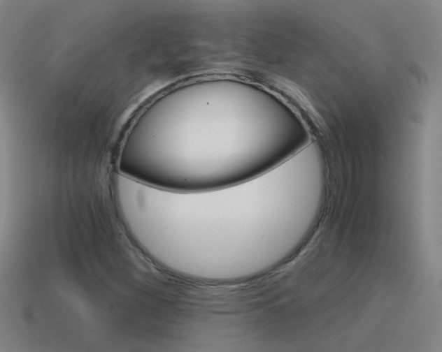 X0000115641260200911101048
