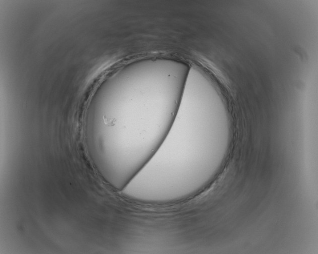 X0000115641261200911101048