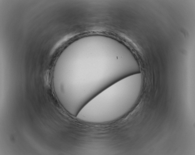 X0000115641262200911101048