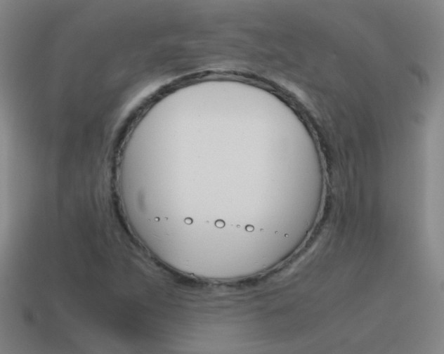 X0000115641263200911101048