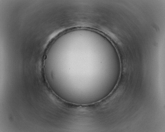 X0000115641264200911101048