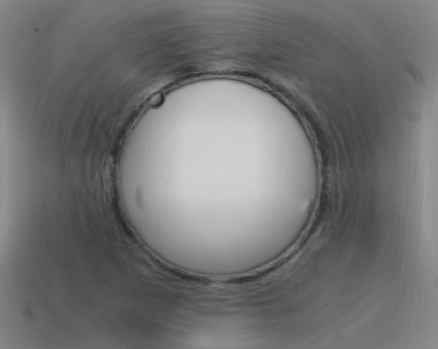 X0000115641265200911101048
