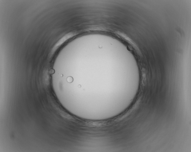 X0000115641266200911101048
