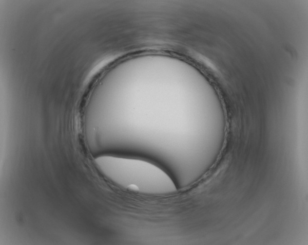 X0000115641267200911101048