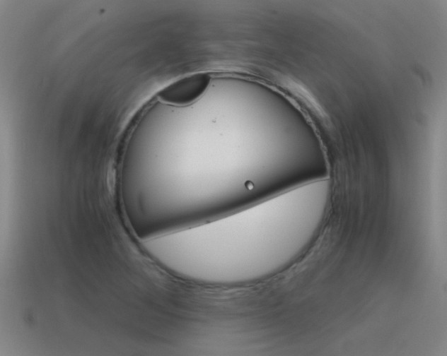 X0000115641268200911101048