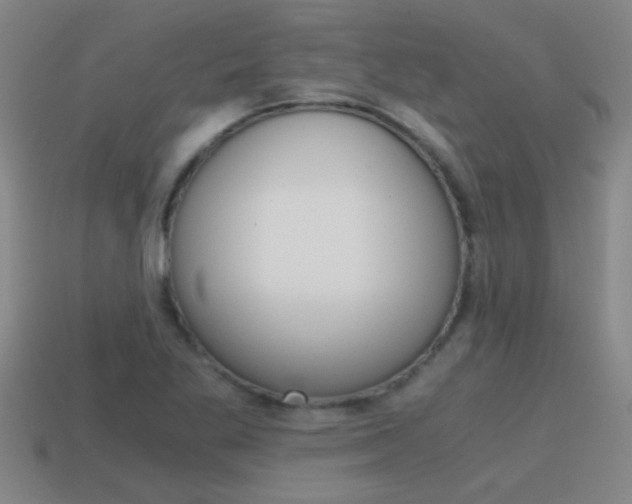 X0000115641269200911101048