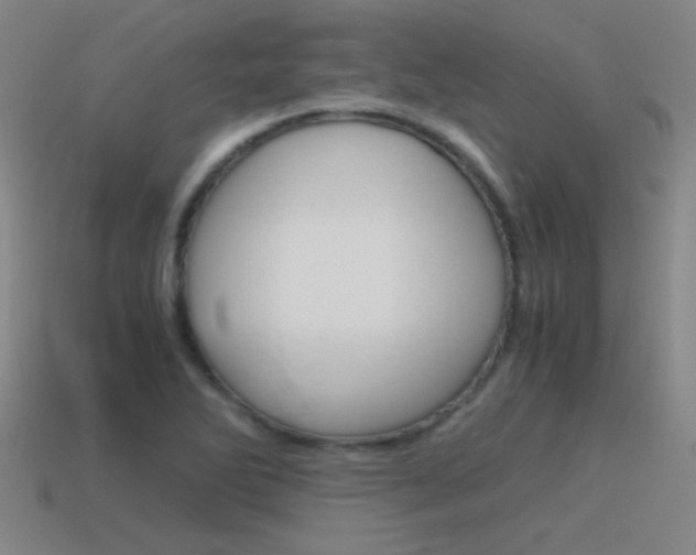 X0000115641270200911101048