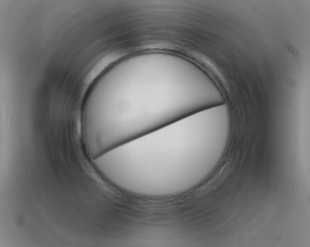 X0000115641274200911101048