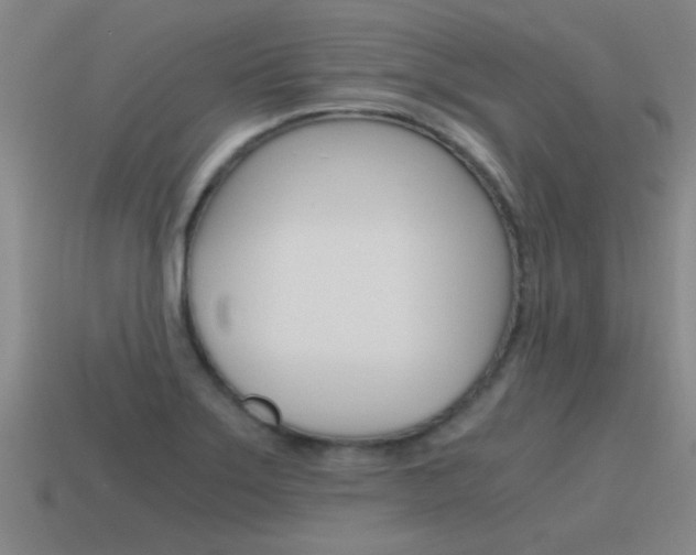 X0000115641275200911101048