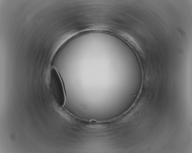 X0000115641276200911101048
