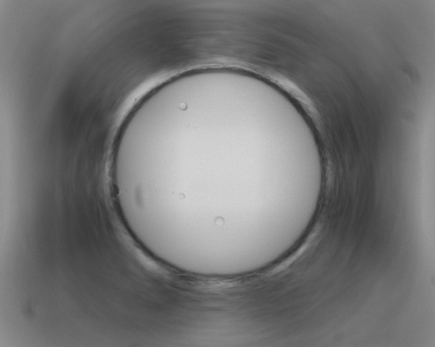 X0000115641278200911101048